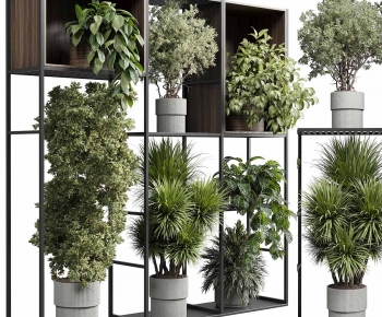 Modern Ground Green Plant Potted Plants-ID:254787928