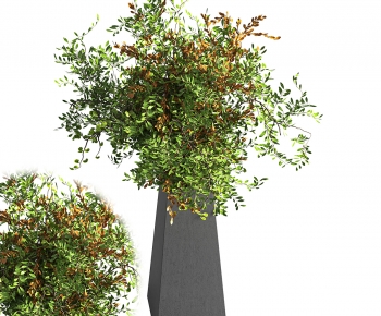 Modern Potted Green Plant-ID:796933893