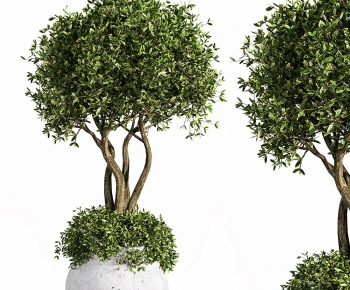 Modern Ground Green Plant Potted Plants-ID:301322948