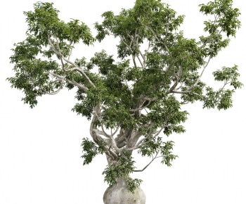 Modern Tree-ID:832914112
