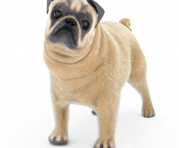 Modern Animal Dog-ID:326984884