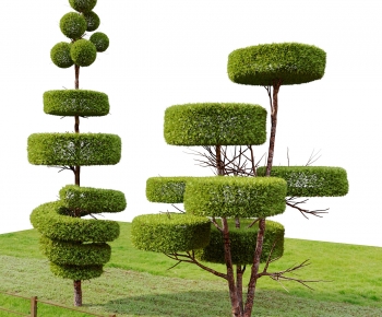 Modern Tree-ID:534641985
