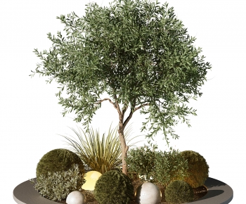 Modern Plant Pile-ID:359993938