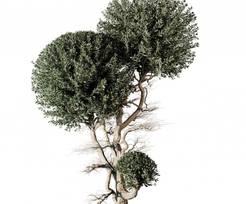 Modern Tree-ID:489370116