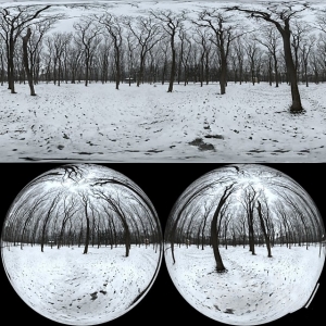 现代冬天树木雪景-ID:475517037