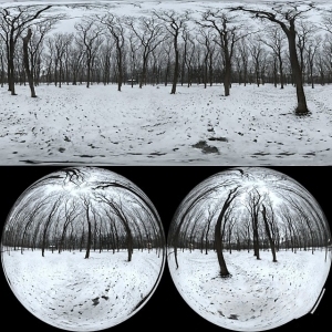 现代冬天树木雪景-ID:6306380