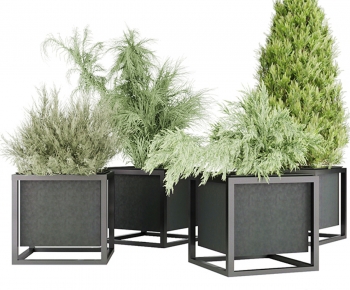 Modern Flower Bed, Flower Bowl, Flower Box-ID:797974118