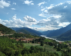 现代森林湖泊风景-ID:539571054