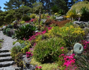现代公园花草外景-ID:937980892
