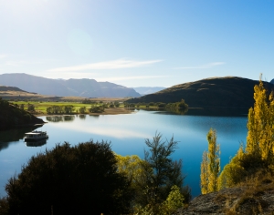 现代森林湖泊风景-ID:107331041