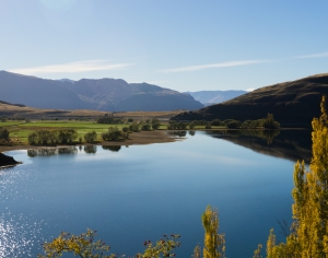 现代森林湖泊风景-ID:864872936