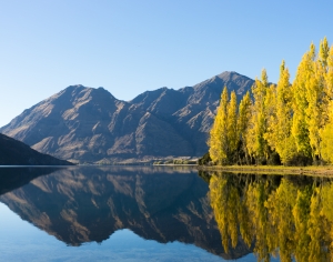 现代森林湖泊风景-ID:540581942