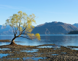 现代森林湖泊风景-ID:386596925