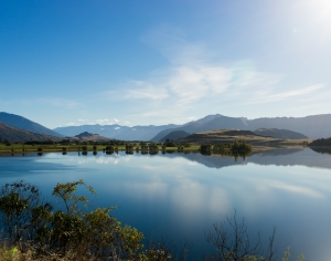 现代森林湖泊风景-ID:881846903