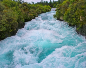 现代森林溪流风景-ID:175509596