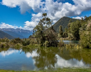 现代森林湖泊风景-ID:923737055