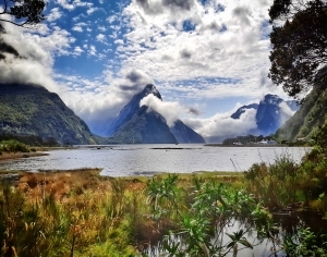 现代森林湖泊风景-ID:6307380