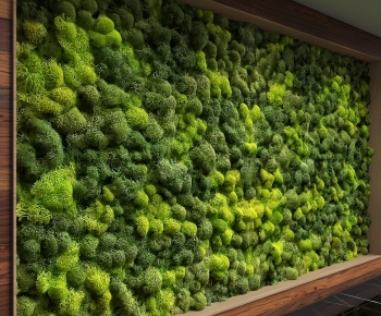 Modern Plant Wall-ID:454540011