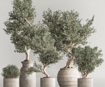 Modern Ground Green Plant Potted Plants-ID:661333089