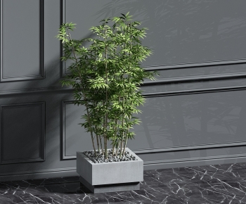 Modern Bamboo-ID:971679937