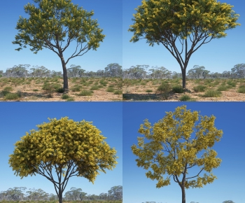 Modern Tree-ID:390999081