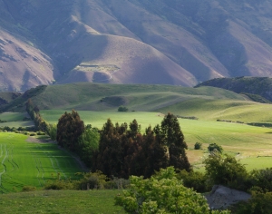 现代森林草地风景-ID:677872902