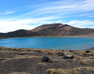现代森林湖泊风景-ID:650712019