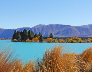 现代森林湖泊风景-ID:334392078
