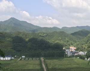 乡村田园外景-ID:988567111
