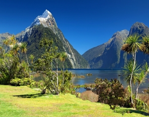 现代森林湖泊风景-ID:693259251
