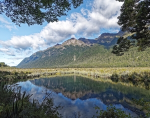现代森林湖泊风景-ID:664942989