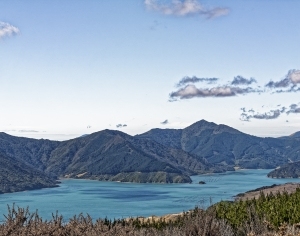 现代森林湖泊风景-ID:6308616