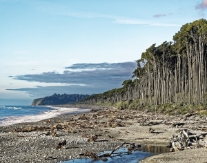 现代海边风景-ID:6308617