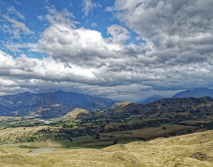 现代森林草地风景-ID:159334904