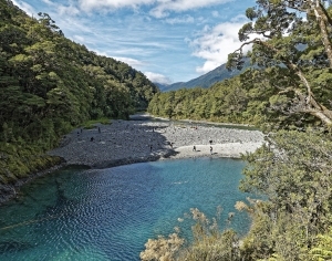 现代小溪森林风景-ID:6308621