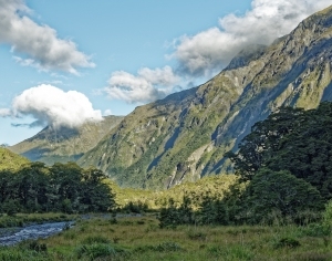 现代小溪森林风景-ID:6308622