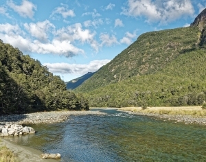 现代小溪森林风景-ID:6308623