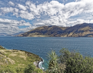 现代湖泊森林风景-ID:906069991