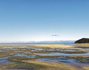 现代湖泊森林风景-ID:993300919