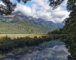 现代湖泊森林风景-ID:459316028