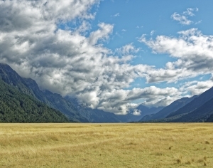 现代金黄草地森林风景-ID:6308644