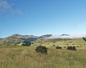 现代草地风景-ID:971132048