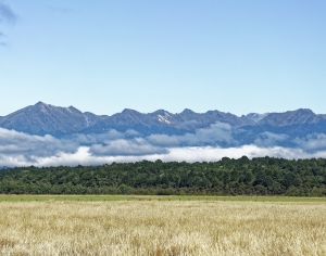 现代草地风景-ID:597037085