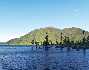 现代湖泊森林风景-ID:673979049