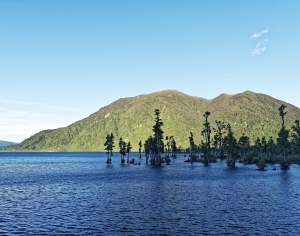 现代湖泊森林风景-ID:6308657