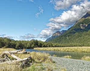 现代森林河流风景-ID:6308658
