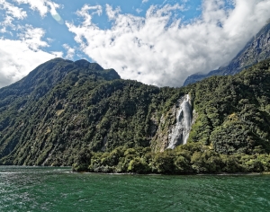 现代森林湖泊风景-ID:483036995