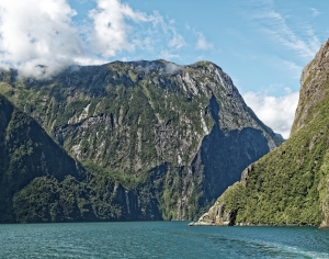 现代森林湖泊风景-ID:219495064
