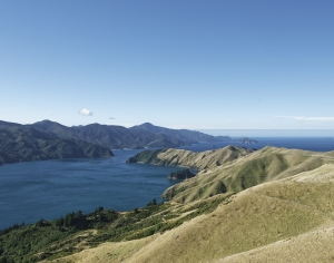 现代森林湖泊风景-ID:516978983