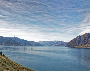 现代森林湖泊风景-ID:574233062